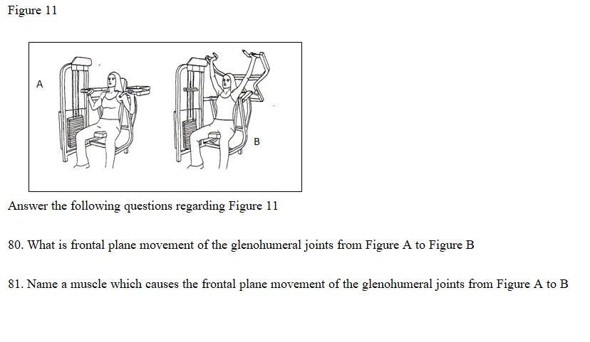 Solved Figure 11 Answer the following questions regarding | Chegg.com