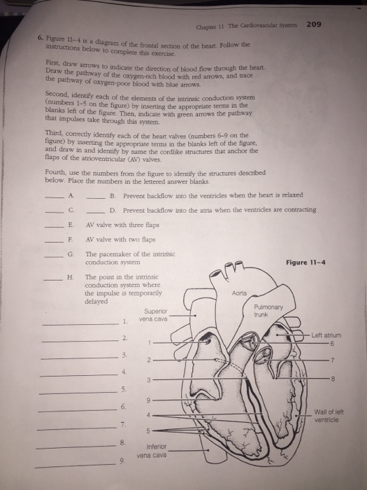 29 Frontline Poisoned Waters Worksheet - Worksheet Resource Plans