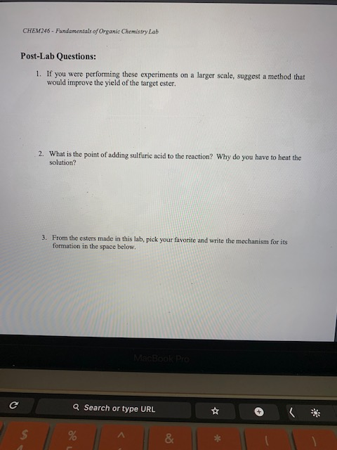 Solved CHEM246 - Fundamentals of Organic Chemistry Lab | Chegg.com