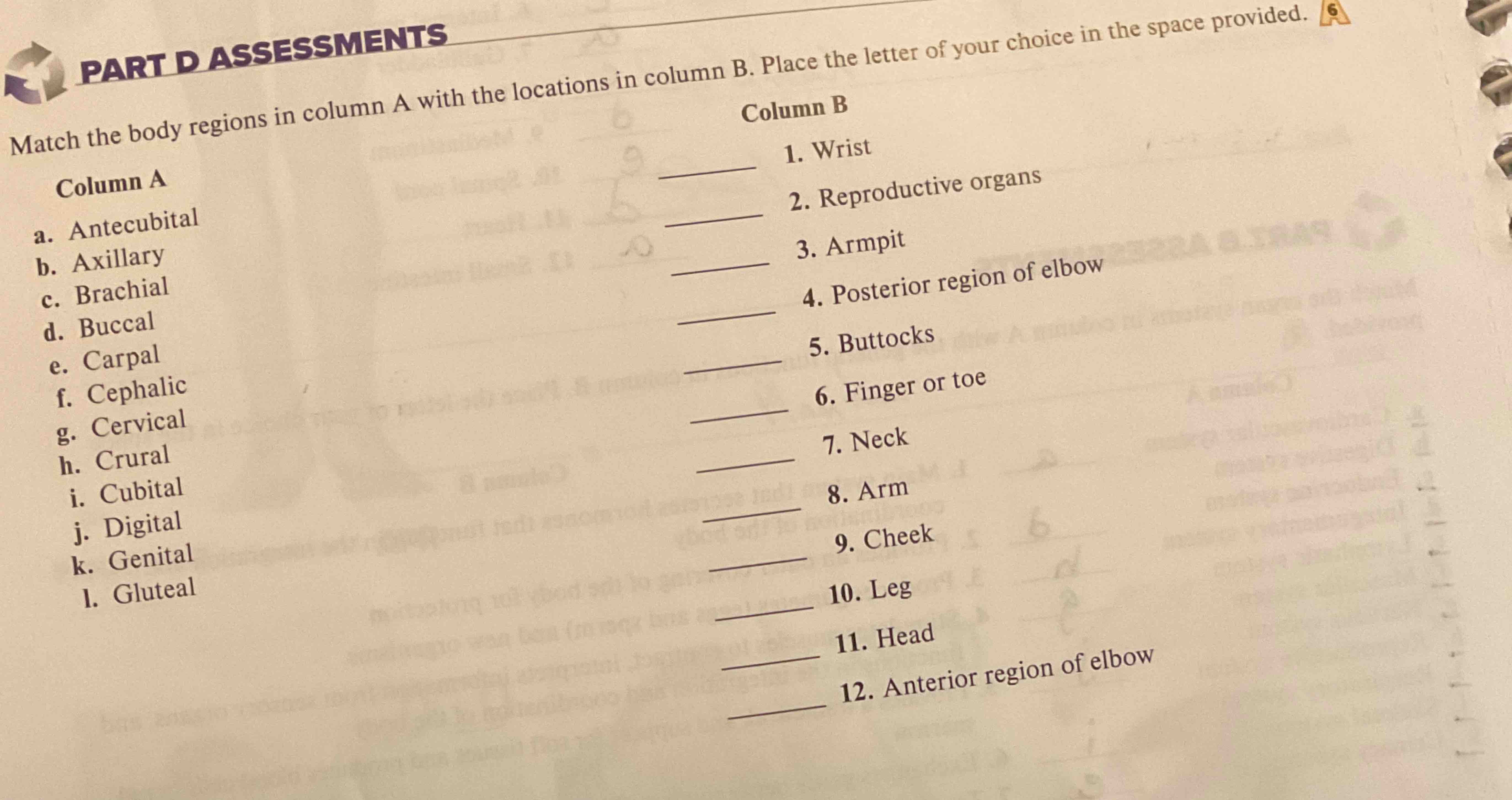 Solved PART D ASSESSMENTSMatch The Body Regions In Column A | Chegg.com