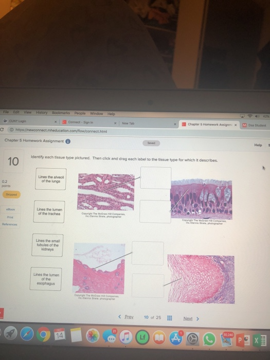 Solved CUNY Log Connect Sign i Chapter 5 Homework Assignm x | Chegg.com