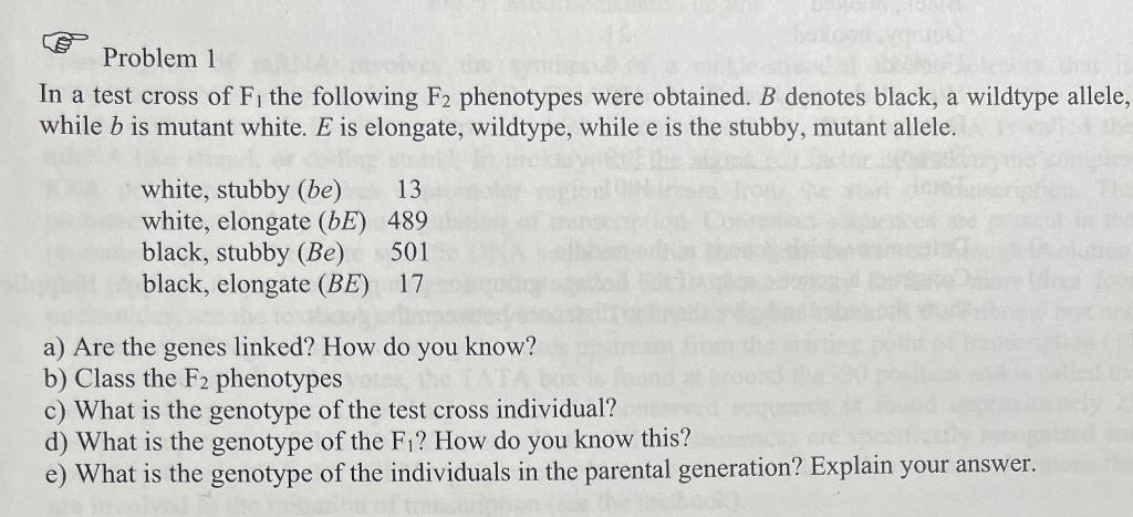 Solved In a test cross of F1 the following F2 phenotypes | Chegg.com