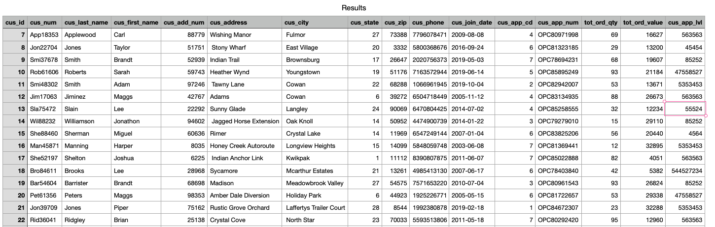 The "Customer" table in the "dsci_504" database | Chegg.com