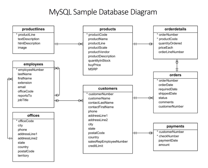 mysql database example