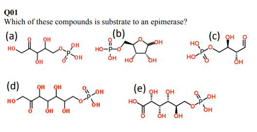 Solved Q01 Which of these compounds is substrate to an | Chegg.com