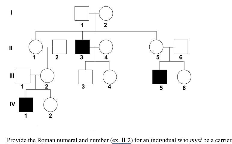 Solved 1 1 2 11 1 3 4 5 Co 6 N Iii 1 2 3 4 5 6 Iv 1 2 