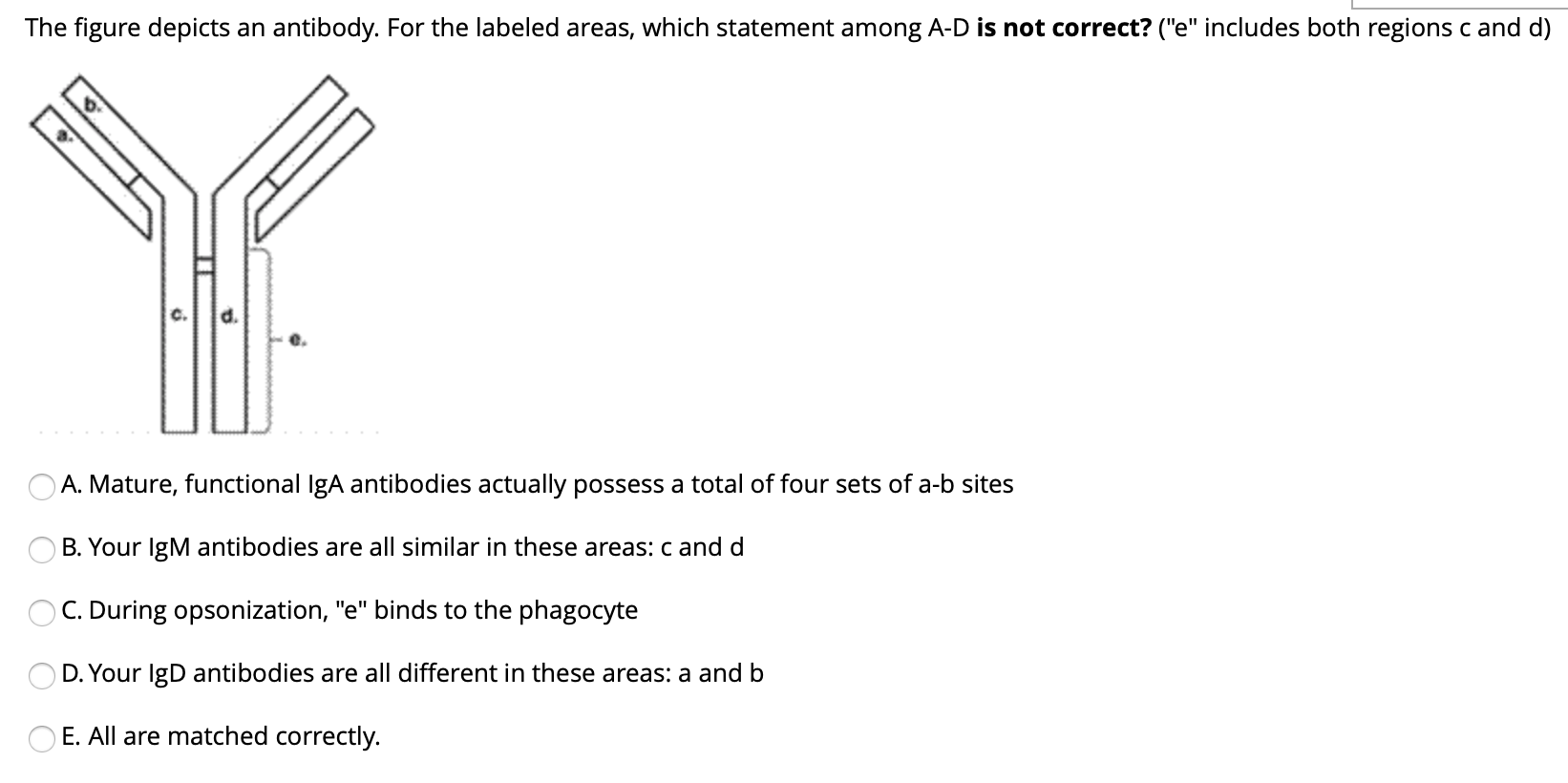 Solved The figure depicts an antibody. For the labeled | Chegg.com