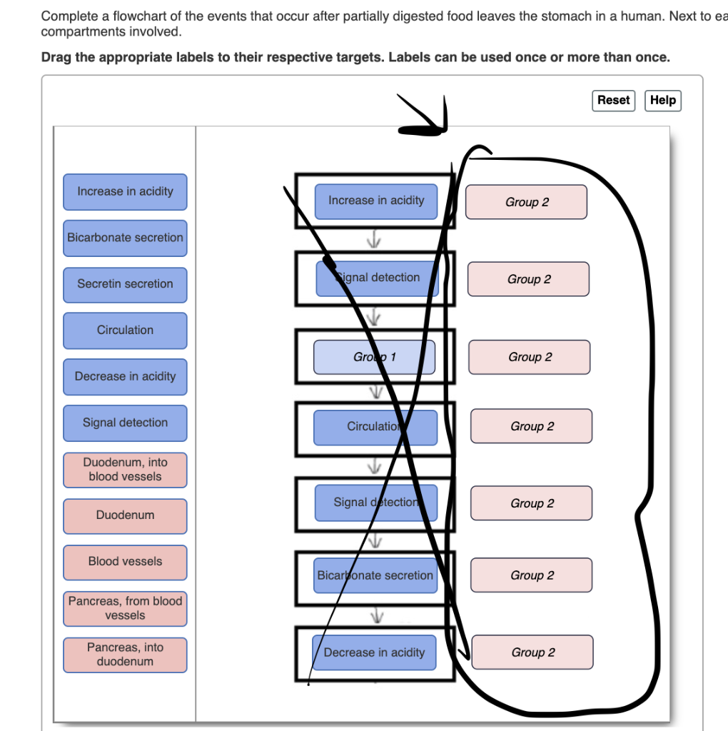 solved-complete-a-flowchart-of-the-events-that-occur-after-chegg