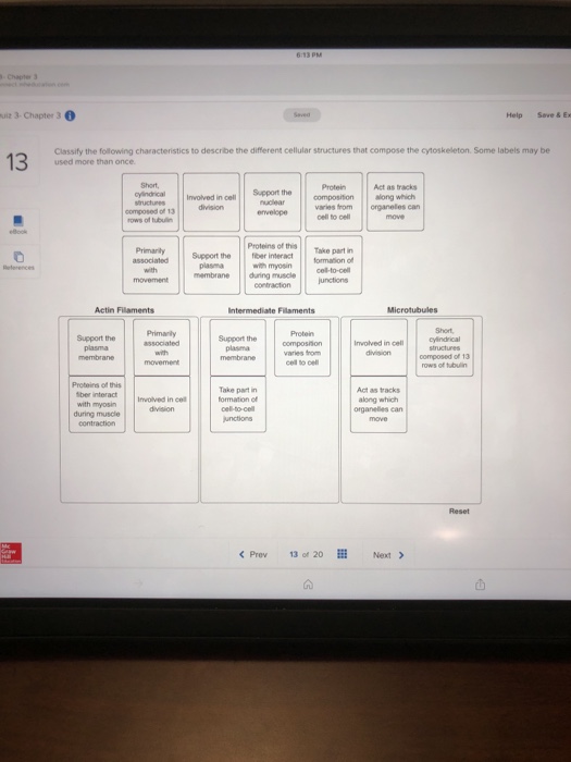 Solved uiz 3- Chapter 3 Help Save & Ex 13 Classify the | Chegg.com