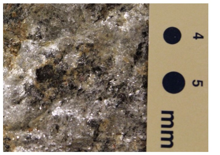 Solved Note The metamorphic rock shown here does not react