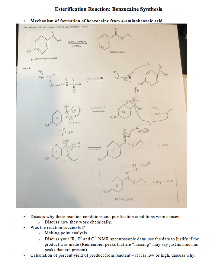 Esterification Reaction: Benzocaine Synthesis | Chegg.com