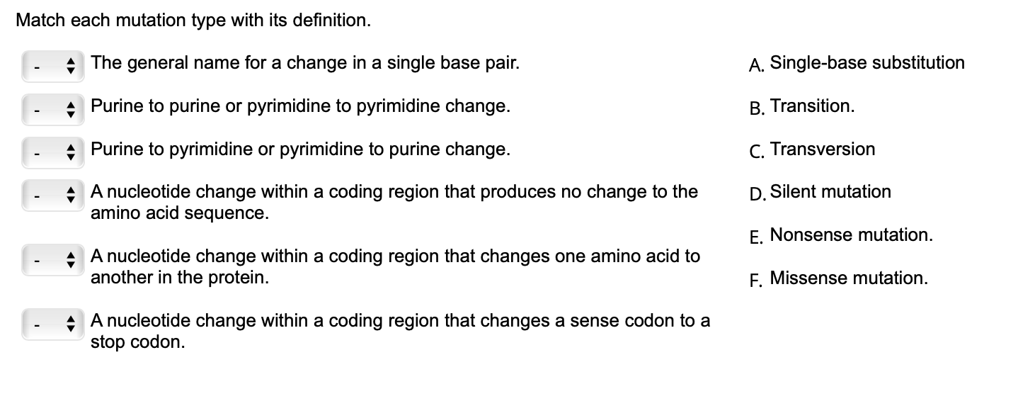 Solved Match each mutation type with its definition. The | Chegg.com