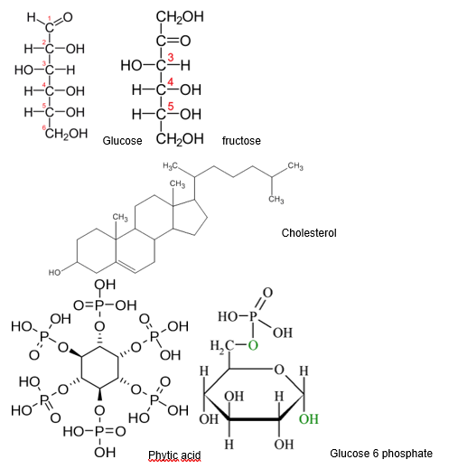 Solved HO H-C-OH HO-C-H H-C-OH H-C-OH CH2OH CH2OH С=0 13 | Chegg.com