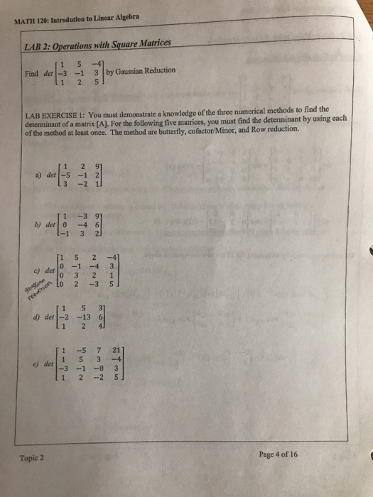 Solved MATH 120: Introdution to Linear Algebra LAB 2: | Chegg.com