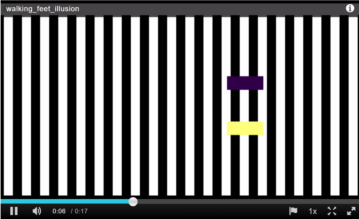 Solved How to code in python: Walking Feet Illusion (the | Chegg.com
