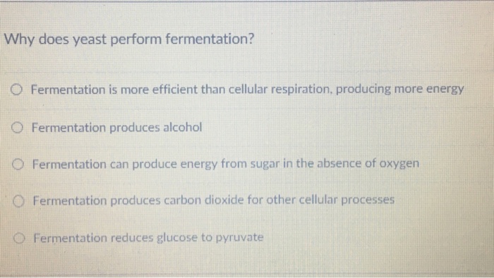 Solved Why does yeast perform fermentation? O Fermentation - Image