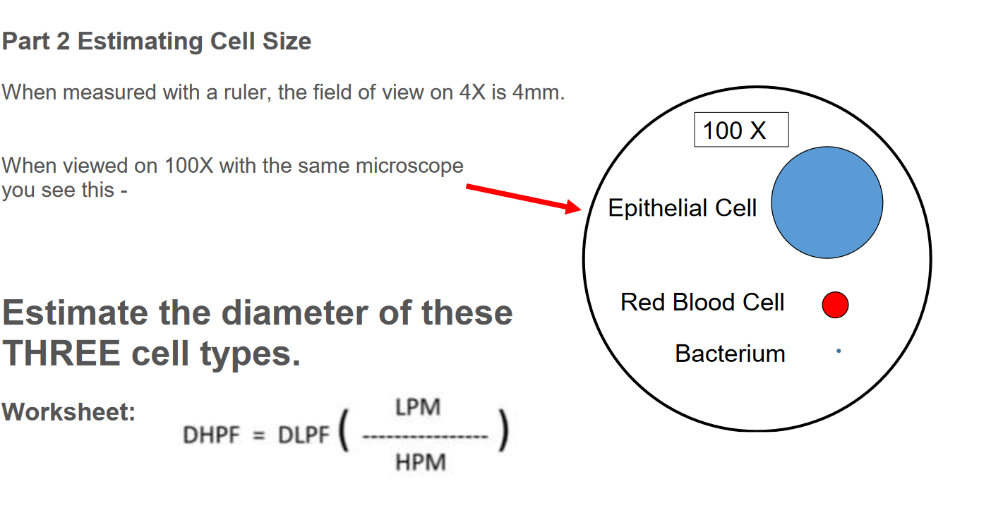 Solved Part 2 ﻿Estimating Cell SizeWhen Measured With A | Chegg.com