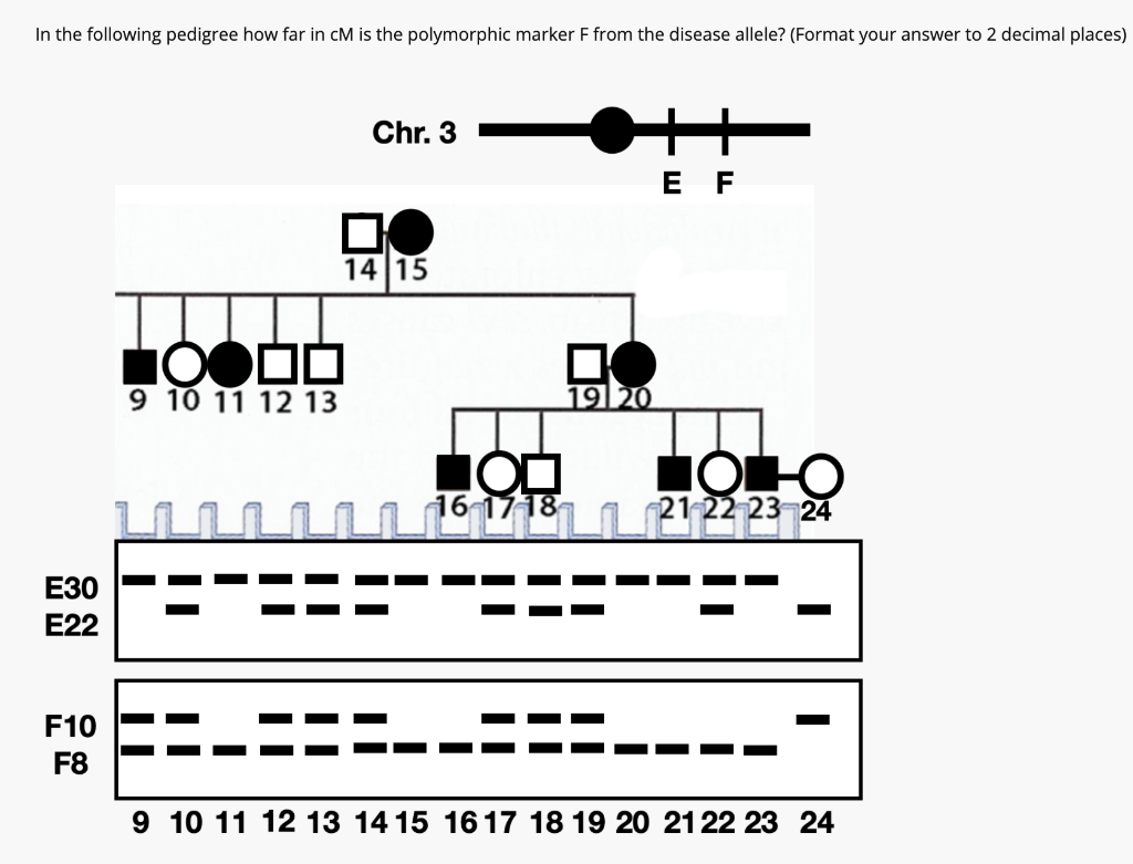 In the following pedigree how far in cM is the polymorphic marker F from the disease allele? (Format your answer to 2 decimal