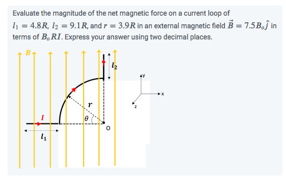 Solved Evaluate the magnitude of the net magnetic force on a | Chegg.com