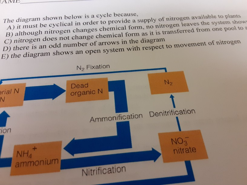Solved The diagram shown below is a cycle because, A) it | Chegg.com