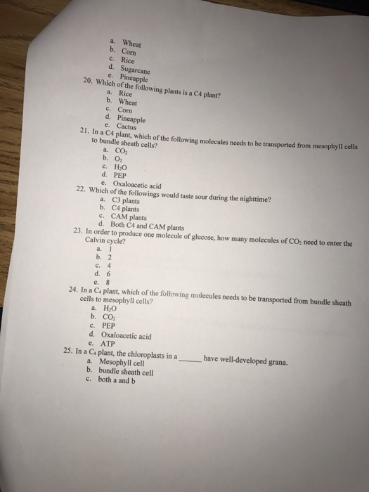 Solved 1 The Final Electron Acceptor In Noncyclic