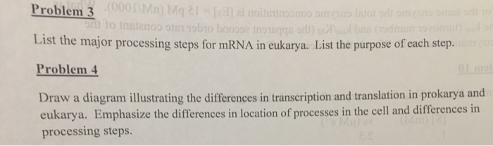 Solved Problem 3 List the major processing steps for mRNA in | Chegg.com