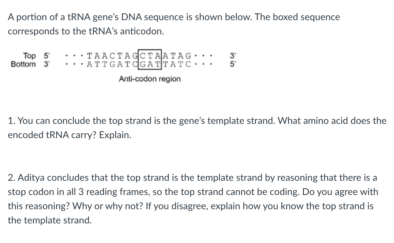 Solved A portion of a tRNA gene's DNA sequence is shown | Chegg.com