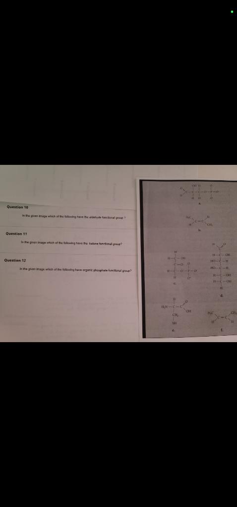 Solved Question 10 Question 17 Questian 12: | Chegg.com