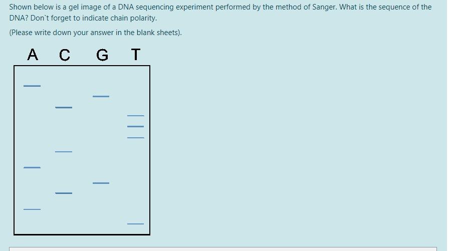 Solved Shown below is a gel image of a DNA sequencing | Chegg.com