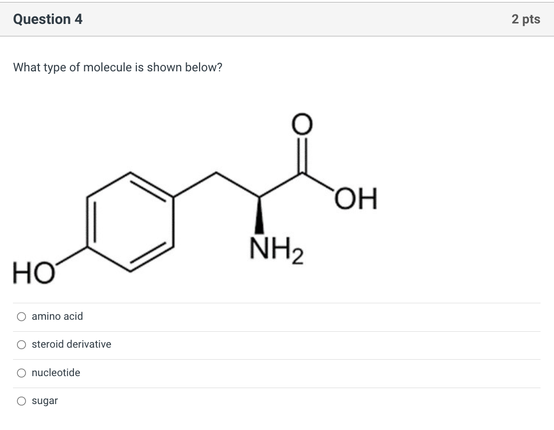 Solved What type of molecule is shown below? amino acid