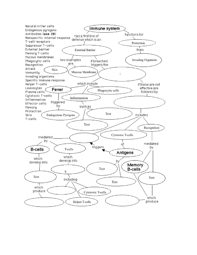 Cell Concept Map Worksheet Answers