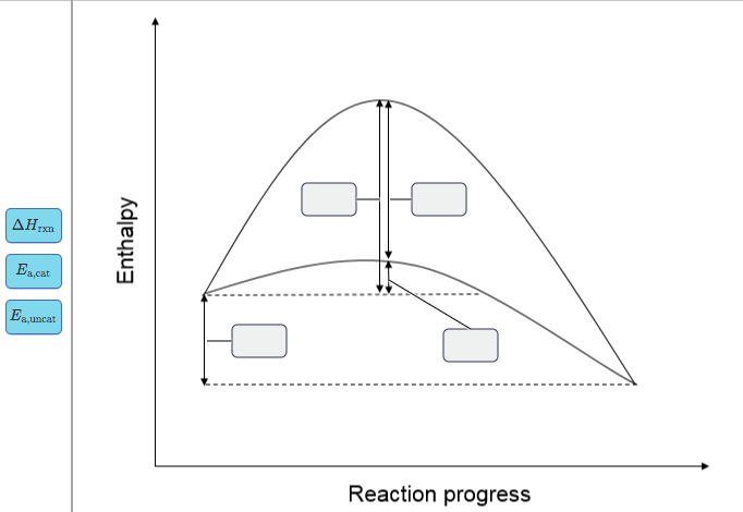 Solved Below is an energy profile for the reaction of carbon | Chegg.com