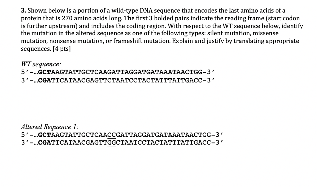 Solved 3. Shown below is a portion of a wild-type DNA | Chegg.com