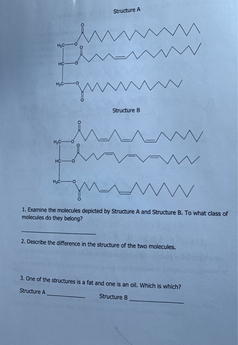 Solved StructureA ње Structure B H2C 1. Examine the | Chegg.com