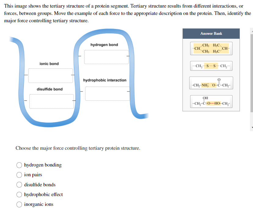 protein tertiary structure bonds