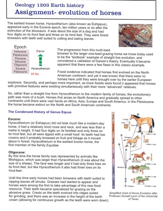 Solved Geology 1203 Earth History Assignment Evolution O...