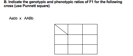 Solved B. Indicate the genotypic and phenotypic ratios of F1 | Chegg.com