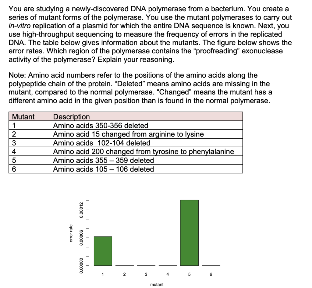 Solved You are studying a newly-discovered DNA polymerase | Chegg.com