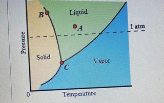 Solved See the figure below, which shows a phase diagram for | Chegg.com