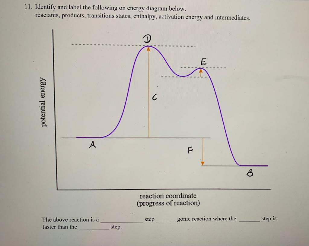 Solved Identify and label the following on energy diagram | Chegg.com