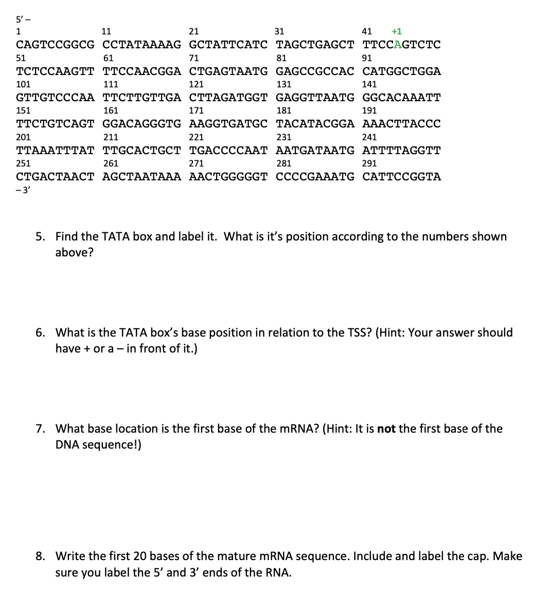 5. Find the TATA box and label it. What is its position according to the numbers shown above?
6. What is the TATA boxs base