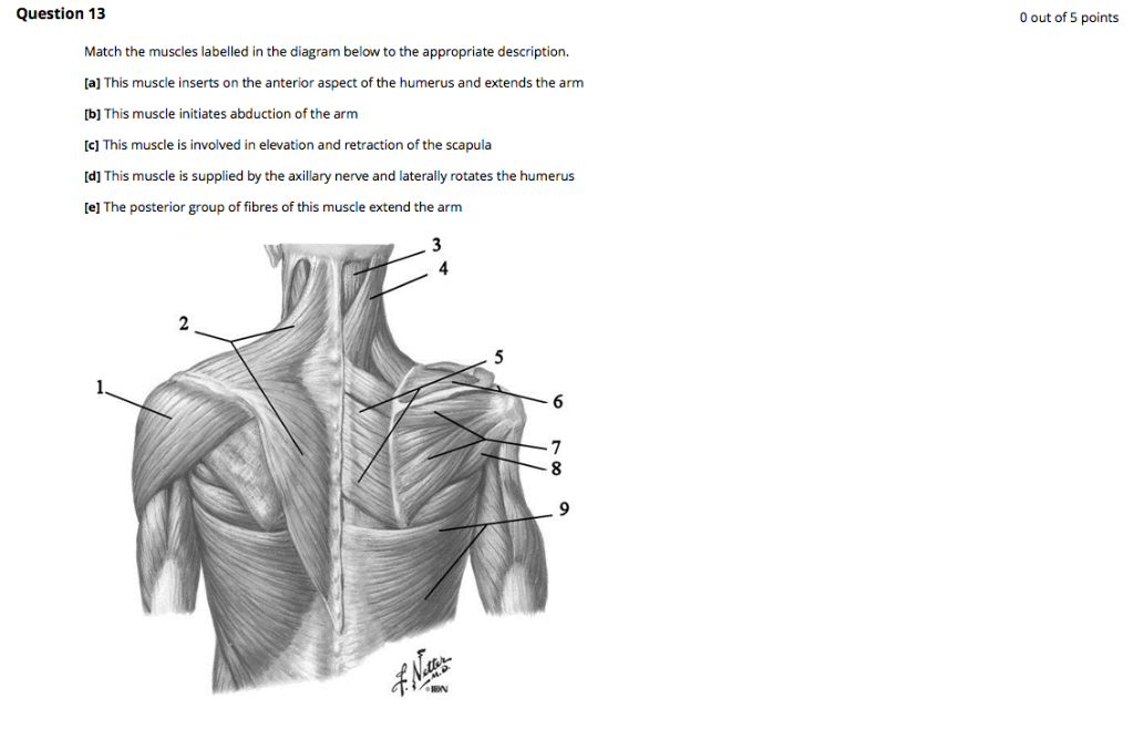 Retraction Anatomy - Anatomy Reading Source