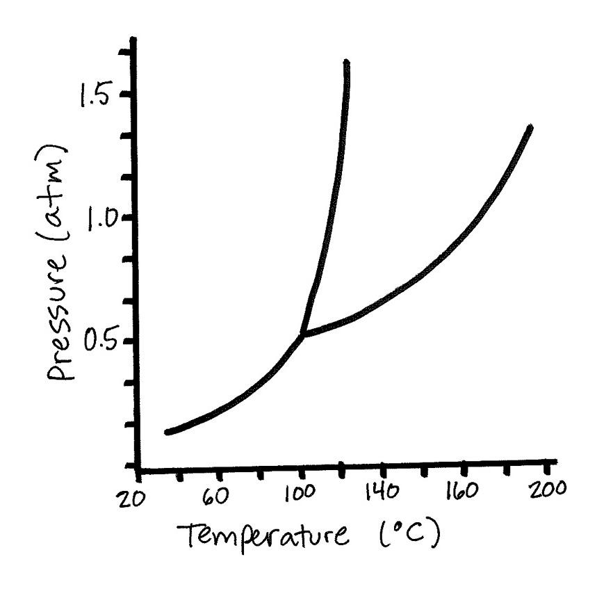 Solved According to the phase diagram shown below, the | Chegg.com