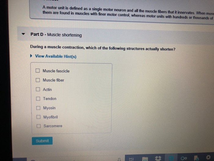 Solved A motor unit is defined as a single motor neuron and | Chegg.com