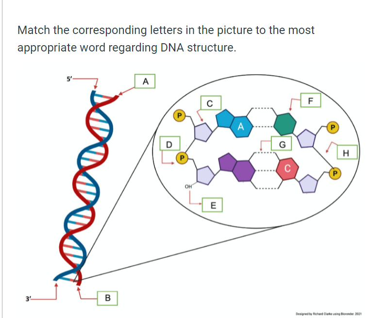 Solved Match the corresponding letters in the picture to the