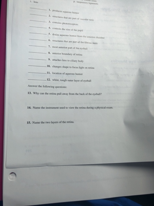 Solved Name Date Section Reviewing Your Knowledge EXERCISE | Chegg.com