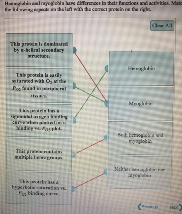 Solved Hemoglobin and myoglobin have differences in their | Chegg.com