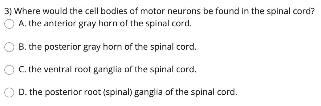 Solved 3) Where would the cell bodies of motor neurons be | Chegg.com