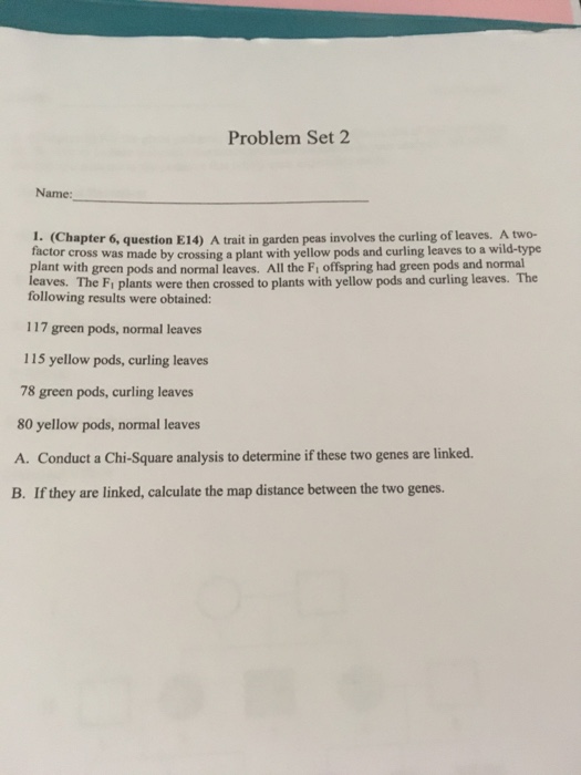 Solved A trait in garden peas involves the curling of