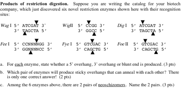 Solved Products of restriction digestion. Suppose you are | Chegg.com
